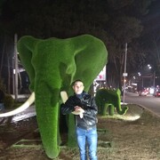 ���������� �������, ���� ������� ��������, 36 ���, ������������ ��� ������, ����� � ���������, c�������� ���������, ���������