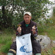 ���������� �����-���������, ���� ������� Avm50, 65 ���, ������������ ��� ����� � ���������, c�������� ���������