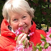 ���������� ������, ���� ������� ����, 72 ����, ������������ ��� ������, ����� � ���������, c�������� ���������, ���������