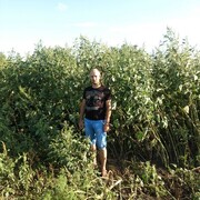 ���������� ����������, ���� ������� �������, 35 ���, ������������ ��� ������, ����� � ���������, c�������� ���������