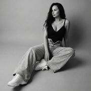 ���������� ����������, ���������