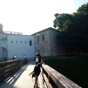 ���������� ������, ���� ������� ������, 44 ����, ������������ ��� ����� � ���������, c�������� ���������