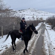 ���������� �������, ���� ����� �����, 25 ���, ������������ 