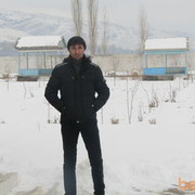  ,   Slon, 44 ,   , 