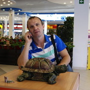  ,   , 52 ,   