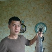 ���������� ������, ���� ������� �����, 43 ����, ������������ ��� ������, ����� � ���������, c�������� ���������