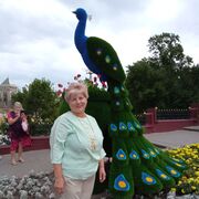  ,   , 68 ,   ,   
