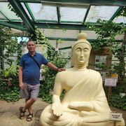 ���������� �����������, ���� ������� ������, 46 ���, ������������ ��� c�������� ���������