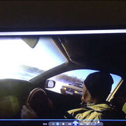 ���������� ���������, ���� ������� ������, 31 ���, ������������ ��� ����� � ���������, c�������� ���������, ���������