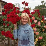 ���������� N'Djamena, ���� ������� �����, 41 ���, ������������ ��� ������, ����� � ���������, c�������� ���������, ���������