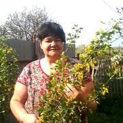  ,   , 43 ,     , c 