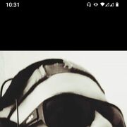  ,  , 42