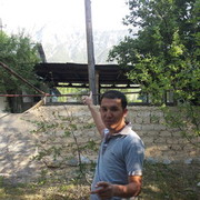 ���������� �������, ���� ������� 97 271 14 13, 39 ���, ������������ ��� ������, ����� � ���������, c�������� ���������, ���������