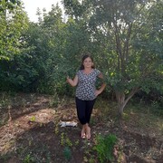 ���������� ��������, ���� ������� ������, 65 ���, ������������ ��� ����� � ���������, c�������� ���������