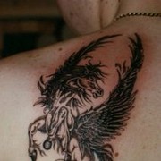  ,   , 37 ,   , 