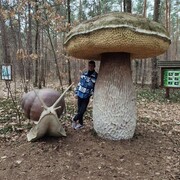  Warszawa,   , 46 ,     , 