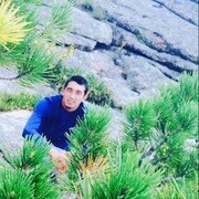 ���������� ������, ���� ������� XAN, 33 ����, ������������ ��� ������, ����� � ���������, c�������� ���������