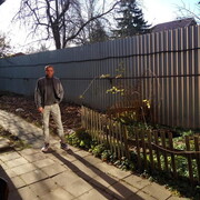 ���������� ������, ���� ������� �����, 44 ����, ������������ ��� ������, ����� � ���������, c�������� ���������, ���������