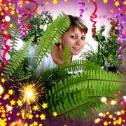  ,   , 52 ,   ,   