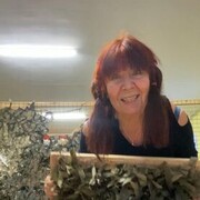 ���������� �����������, ���� ������� �����, 74 ����, ������������ ��� c�������� ���������, ���������