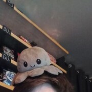 ���������� �������, ���� ������� �����, 29 ���, ������������ ��� ����� � ���������, c�������� ���������