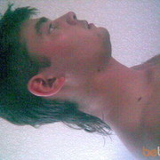  ,   BULO, 40 ,   ,   , c 