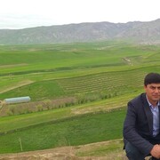 ,   Firdavs, 36 ,   ,   , c 