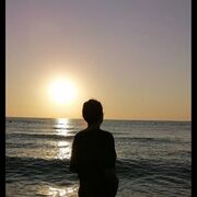  ,   , 37 ,   ,   