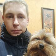 ���������� ����, ���� ������� ���������, 29 ���, ������������ ��� ������, ����� � ���������, c�������� ���������, ���������