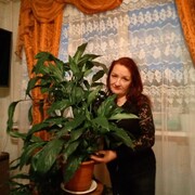  ,   , 44 ,   ,   , c 