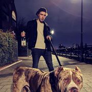 ���������� ���������, ���� ������� ��, 34 ����, ������������ ��� ������, ����� � ���������