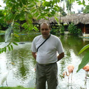  ,   , 53 ,     , c 