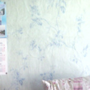 ���������� ���������, ���� ������� �����, 44 ����, ������������ 