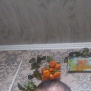  ,   , 41 ,   c 