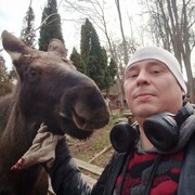  ,   , 38 ,     , c , 