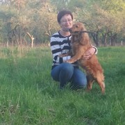 ���������� ����, ���� ������� ��������, 54 ����, ������������ ��� ����� � ���������, c�������� ���������