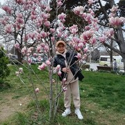 ���������� �����������, ���� ������� �����, 78 ���, ������������ ��� ����� � ���������, c�������� ���������