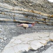 ���������� ���������, ���� ������� ������, 47 ���, ������������ ��� ������, ����� � ���������, c�������� ���������