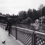 ���������� ��������, ���� ����� �����, 25 ���, ������������ ��� ������, ����� � ���������, c�������� ���������, ���������