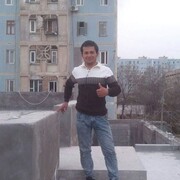  ,   Dostoni, 31 ,   ,   