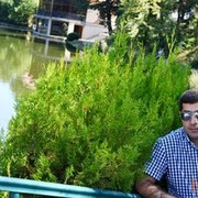 ���������� ������, ���� ������� VARDAN, 38 ���, ������������ ��� ������