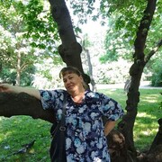  -,   , 42 ,   c , 