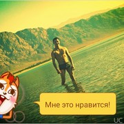  ,   MIRKO, 34 ,  