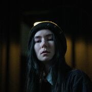 ���������� ����, ����