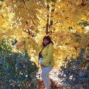 ���������� ��������, ���� ������� �������, 44 ����, ������������ ��� c�������� ���������