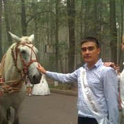 ���������� ������, ���� ������� MAXMAX, 41 ���, ������������ ��� ������