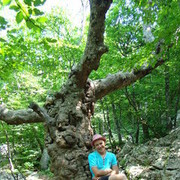 ���������� ��������, ���� ������� Klounes, 39 ���, ������������ ��� ������, ����� � ���������, c�������� ���������