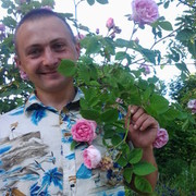 ,   , 39 ,   
