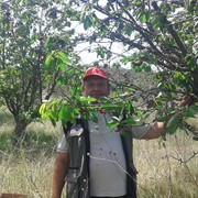  ,   , 55 ,     , c 