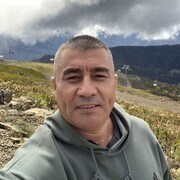 ���������� ������, ���� ������� �������, 48 ���, ������������ ��� ������, ����� � ���������, c�������� ���������